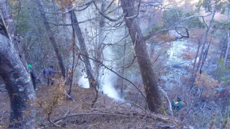 Inusual hallazgo: descubren un incendio bajo tierra en una reserva natural