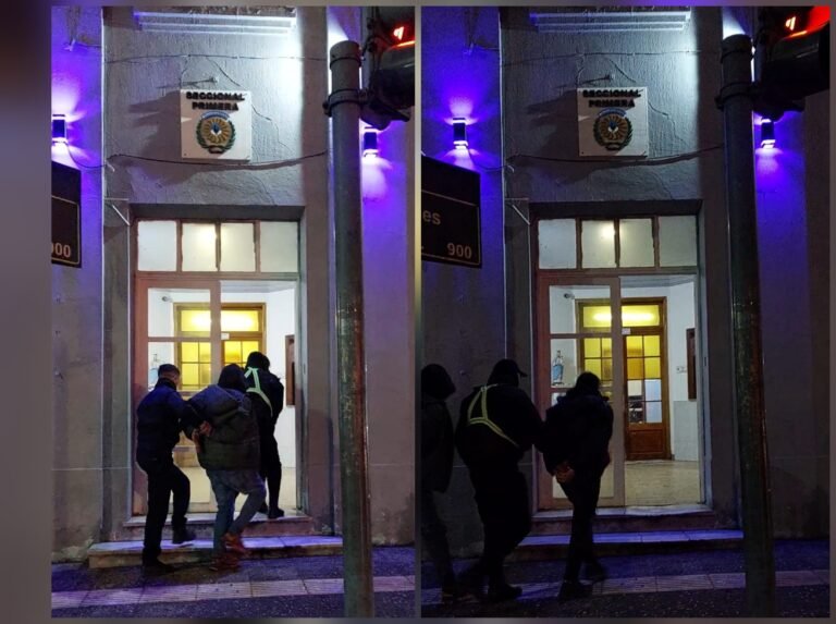 Dañaron el vidrio de un auto para robar un bolso