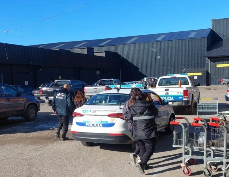 Intentaron llevarse mercadería por casi $200 mil sin pagar y fueron aprehendidas