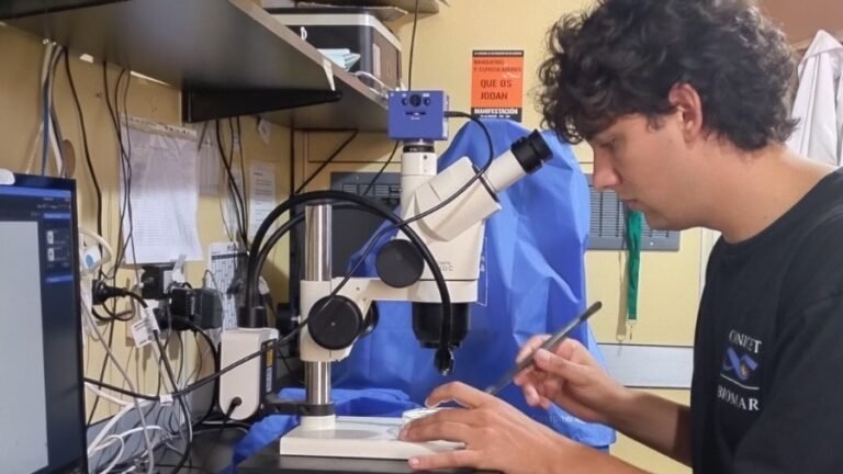 Científico chubutense avanza con una investigación sin precedentes