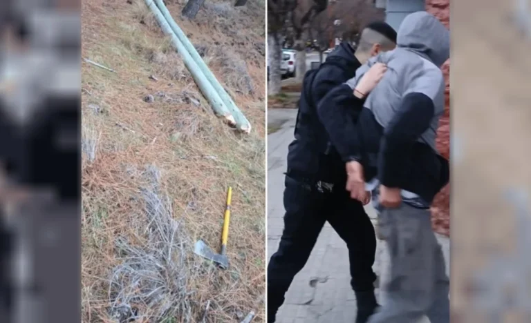 Intentaron robar cables y dejaron sin internet a una localidad entera: hay un detenido