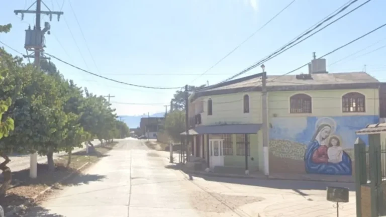 Asaltó a una mujer, escapó y fue linchado por los vecinos