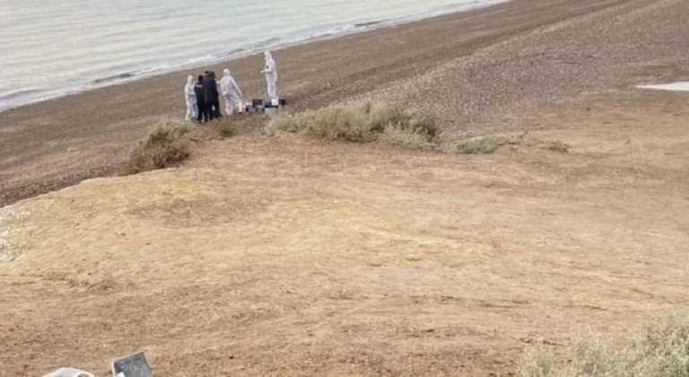 Macabro hallazgo: encontraron el cuerpo sin vida de una mujer en una playa