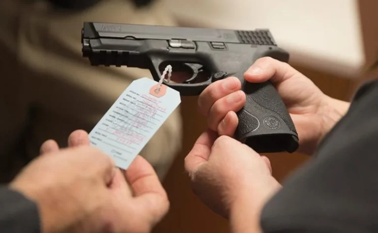 El Gobierno implementó un trámite digital para ser legítimo usuario de armas de fuego