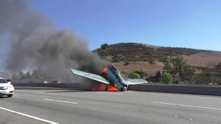 Tragedia: una avioneta cayó sobre una autopista y provocó la muerte de dos personas