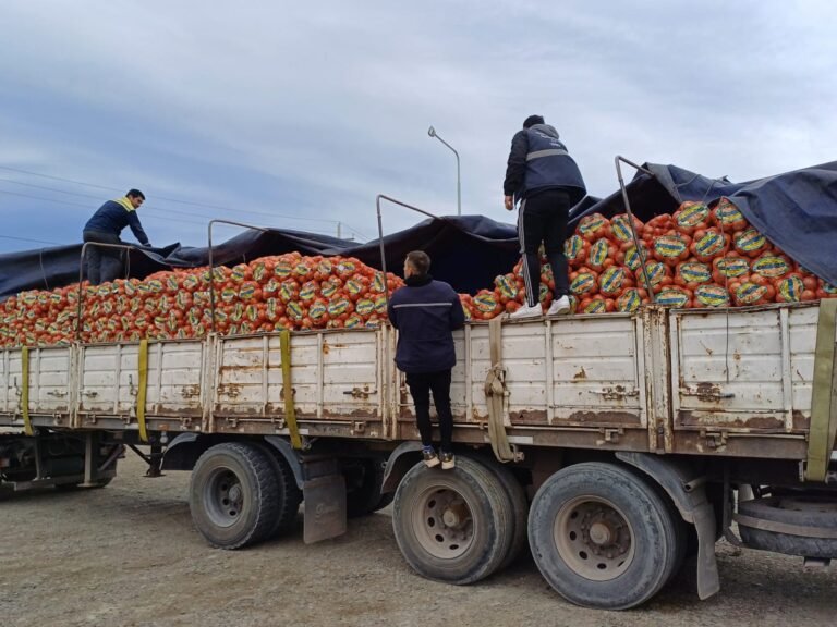 Dos camiones retenidos por cargamentos irregulares