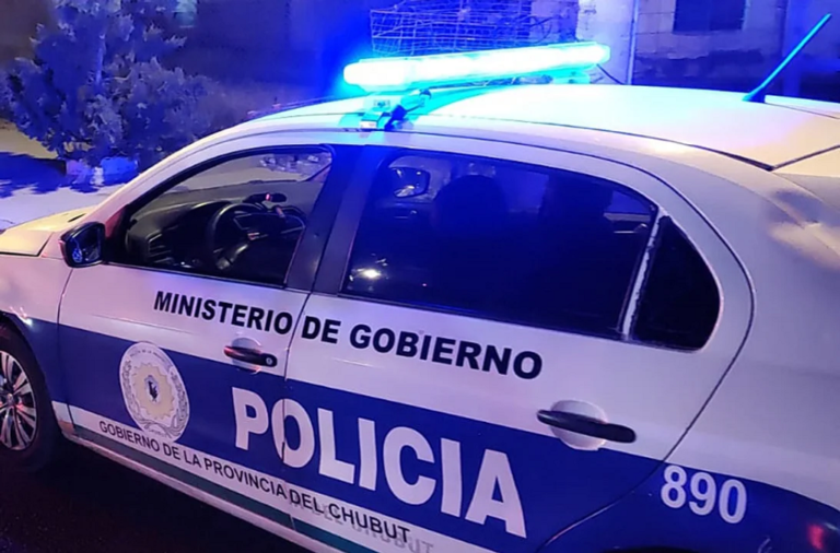 Una pareja fue detenida por portar un arma de fuego y agredir a una policía