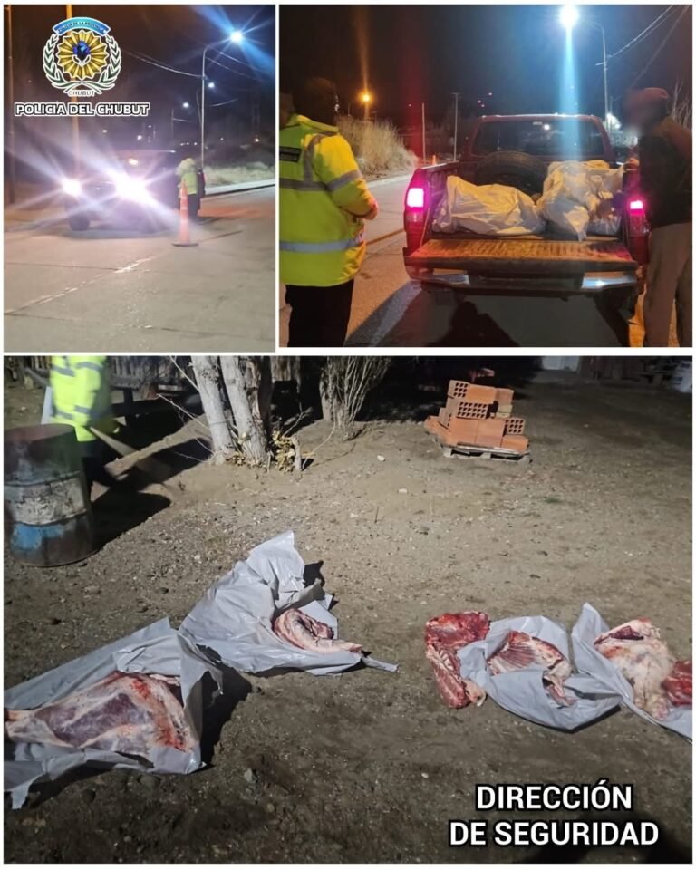 Secuestraron 70 kilos de carne por transporte irregular en Diadema