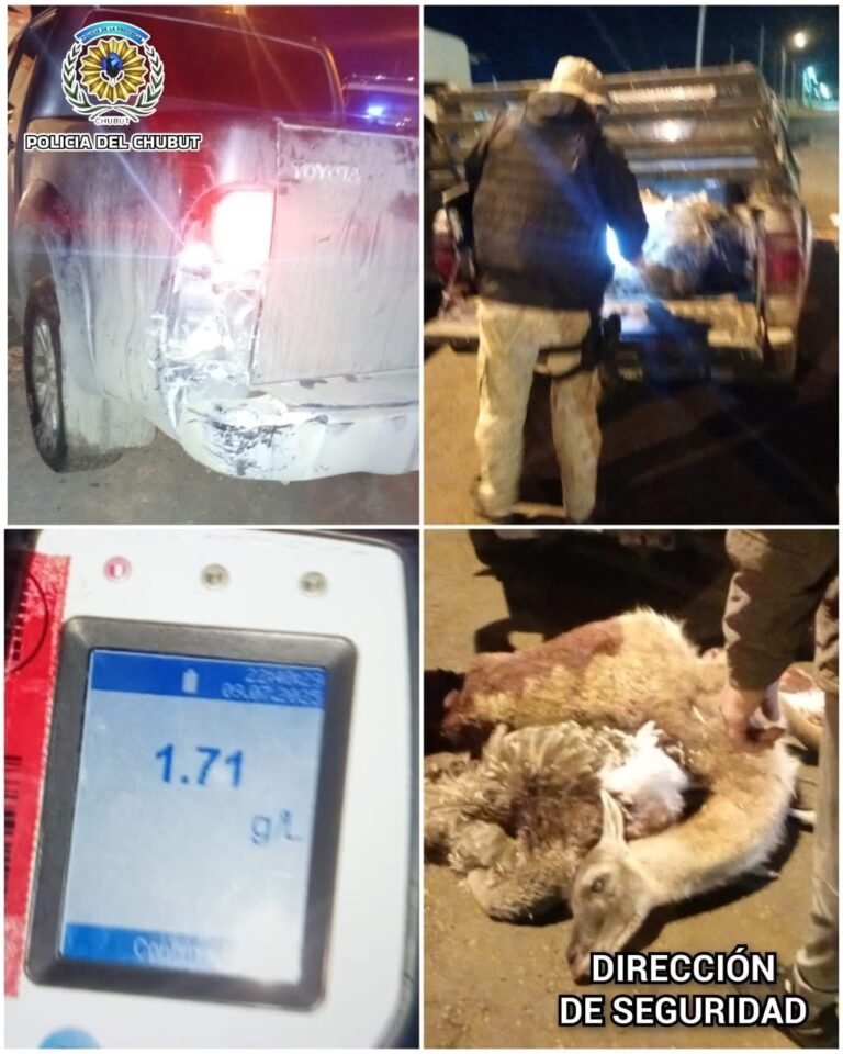 Conducía borracho, chocó y descubrieron que llevaba animales silvestres y armas