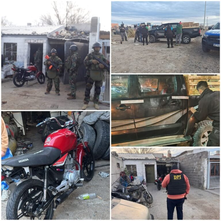 Allanamientos por maltrato animal: secuestraron camionetas, celulares y elementos de interés