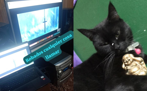 Entraron a robarle, se llevaron objetos de trabajo y su gatita está desaparecida