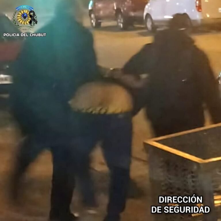 No podía ingresar al domicilio de su ex, lo intentó igual y agredió a una policía