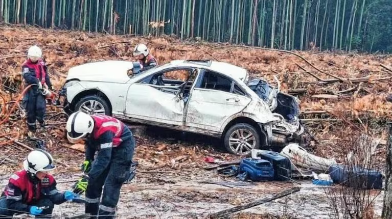 Un conductor se cruzó con un auto volcado que había chocado con un ciervo: se llevó el animal en vez de ayudar