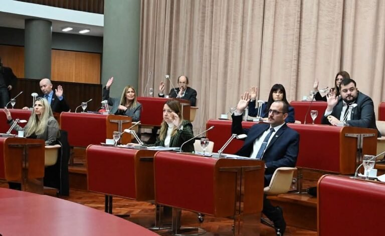 La Legislatura aprobó el acuerdo para consolidar los derechos de Chubut sobre sus acciones en YPF