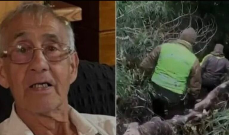 Desaparición y misterio: cuidaba la casa de la reina Máxima, pero nadie sabe dónde está