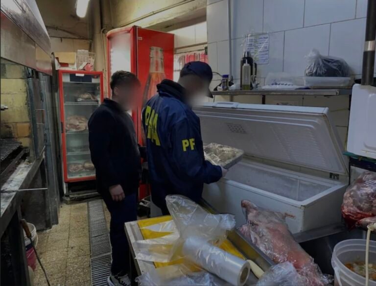 Allanaron un bodegón que vendía carne de carpincho, ciervo y yacaré