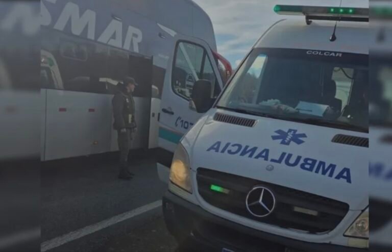 Emoción en la frontera: una mujer tuvo a su bebé cuando volvían de Chile en colectivo
