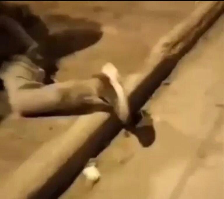 Intentaron linchar a un joven acusado de robar: “Sos una rata inmunda”