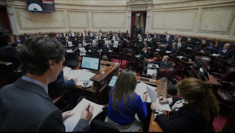 El Senado convirtió en ley la emergencia en discapacidad