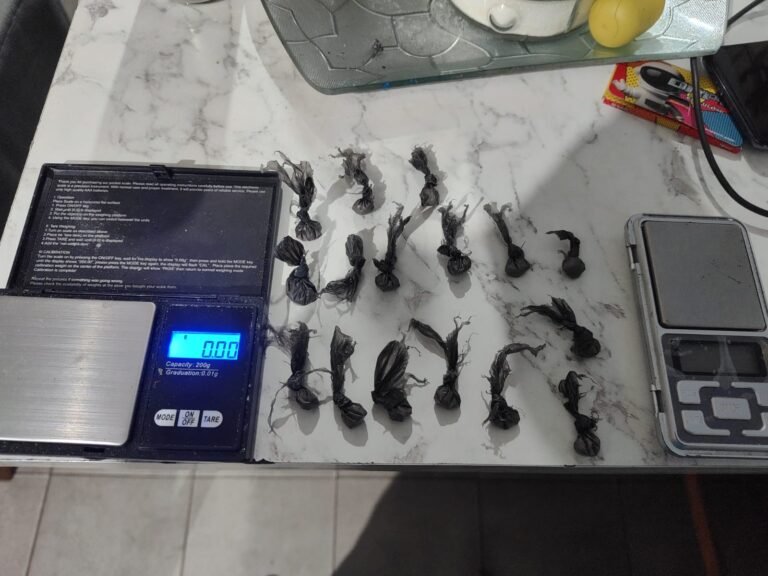 Desbaratan red de narcomenudeo en Comodoro: dos detenidos y droga incautada