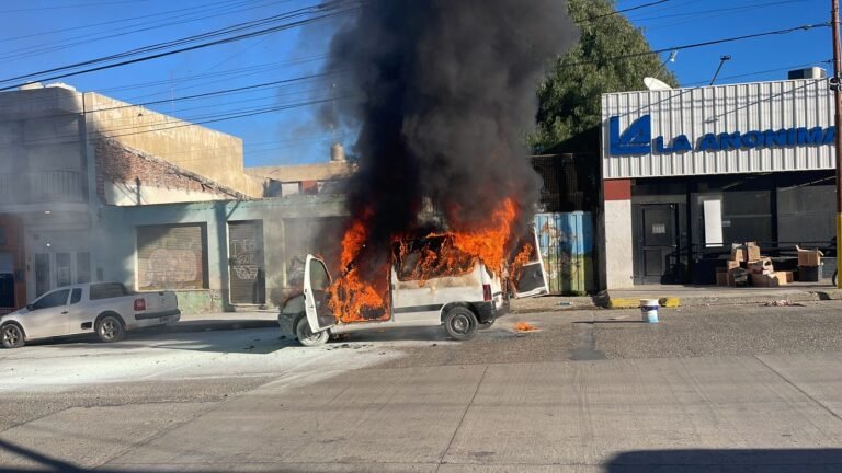 Un auto se prendió fuego en calle Alem y fue consumido en segundos