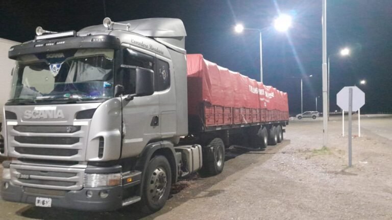 Intervinieron un camión con 300 bolsas de papa sin documentación