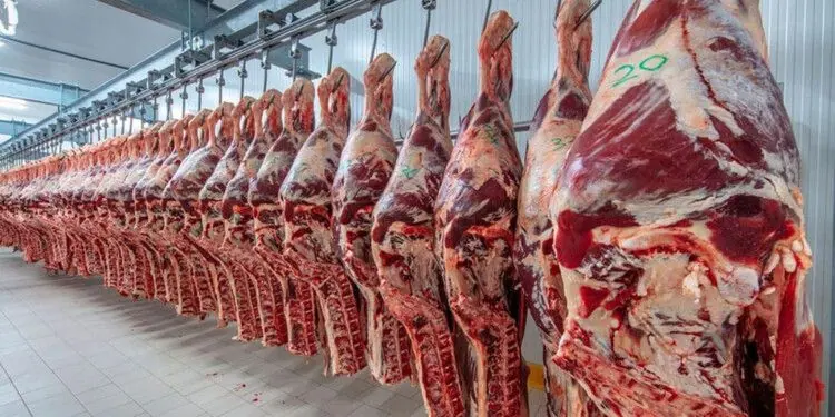 Prohibieron por 30 días el ingreso de carne con hueso en la Patagonia