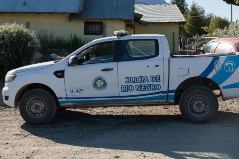 Atacó a su pareja con un hacha mientras festejaban el cumpleaños de su hijo