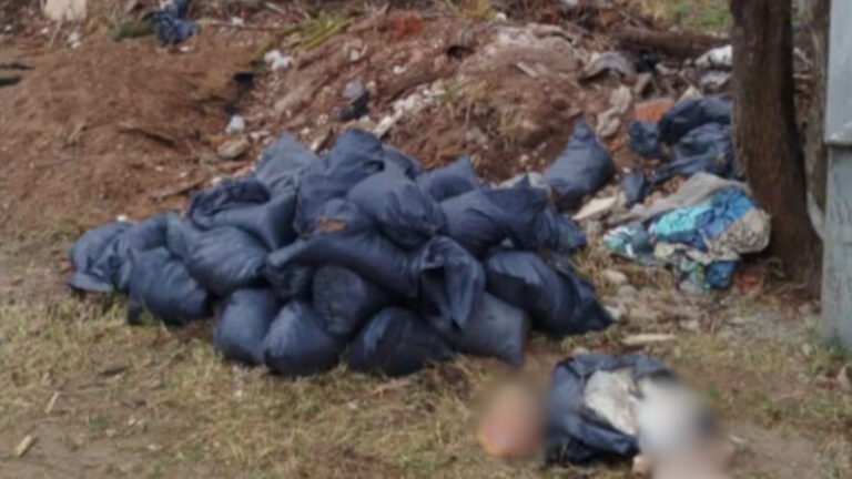 Macabro hallazgo: un sereno encontró un cuerpo descuartizado dentro de bolsas de residuos