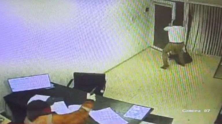 Violento asalto: un comerciante se enfrentó a dos ladrones armados y los echó a los empujones