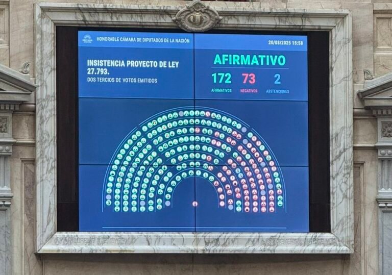 Diputados rechazó el veto de Milei a la ley de emergencia en discapacidad