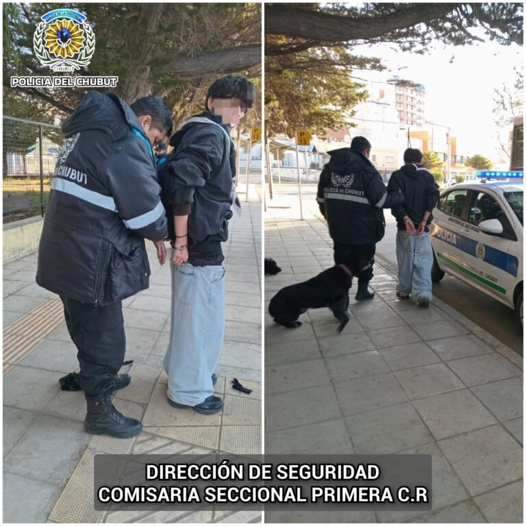 Tenía pedido de captura vigente, salió a caminar y lo detuvieron