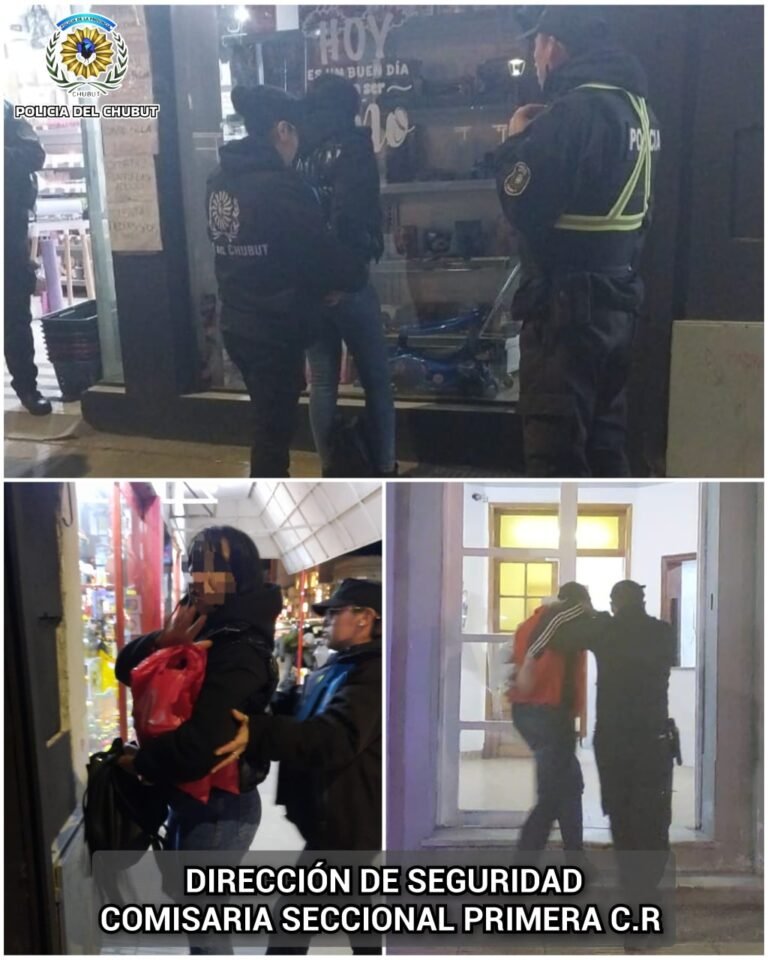 Una mujer distrajo a una comerciante y su pareja le robó el celular del mostrador