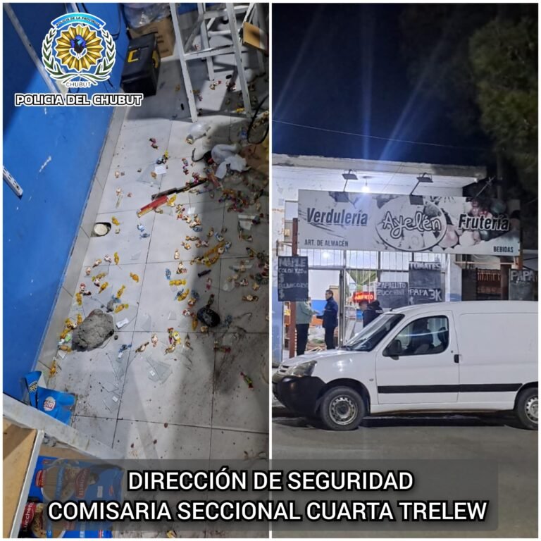 Quiso llevarse una cerveza fiado, le dijeron que no y causó destrozos en el local