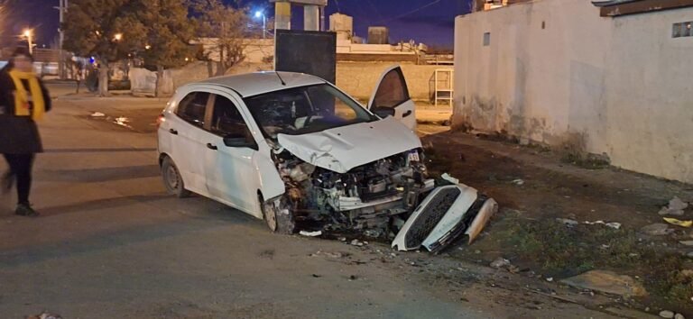 Se quedó dormida al volante y chocó contra una palma de luz