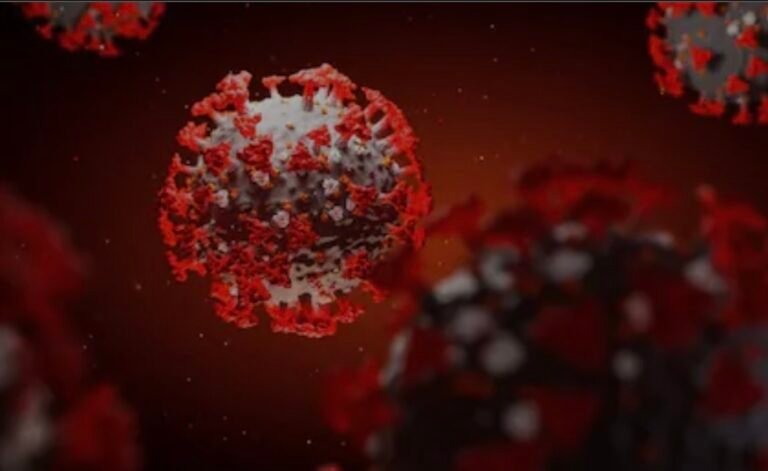 Variante “Frankenstein”: la nueva cepa del coronavirus que ya llegó al país