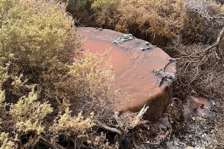 Contaminación en el Golfo Nuevo: la Justicia absolvió a los directivos de Conarpesa