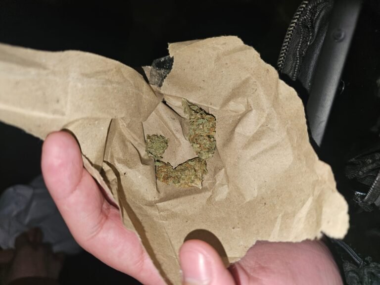 Los pararon en un control, se pusieron nerviosos y confesaron que llevaban marihuana