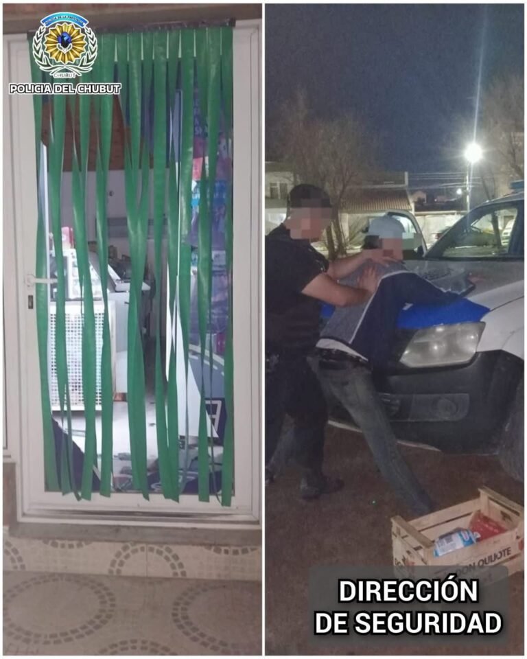 Rompió el vidrio de un local para robar: se llevó fiambres y una notebook