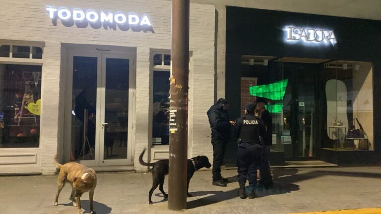 Destrozó la puerta de un local céntrico y terminó detenido por la policía