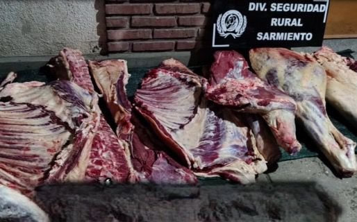 Decomisaron carne de vaca y la donaron a proteccionistas para alimentar perros callejeros