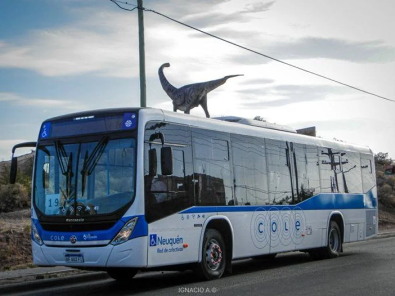 Abusó de una pasajera y el colectivero lo entregó en la comisaría