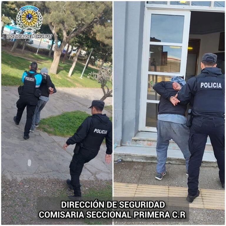 Intentó robar herramientas de un auto, pero un vecino lo vio y cayó preso