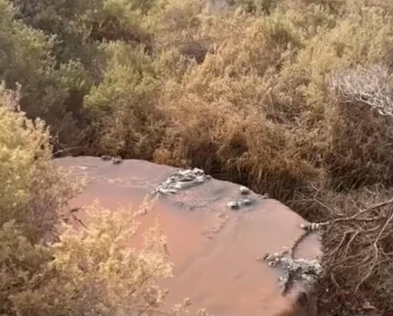 Comienza el juicio por contaminación ambiental en el Golfo Nuevo