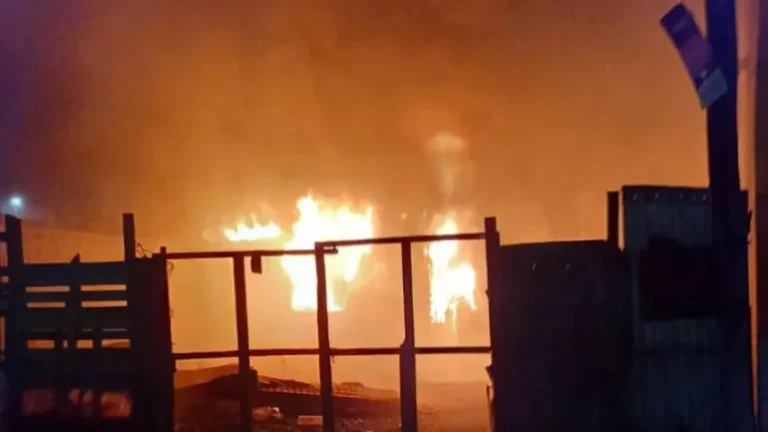 Tragedia: una casilla fue consumida por las llamas y dos personas murieron calcinadas