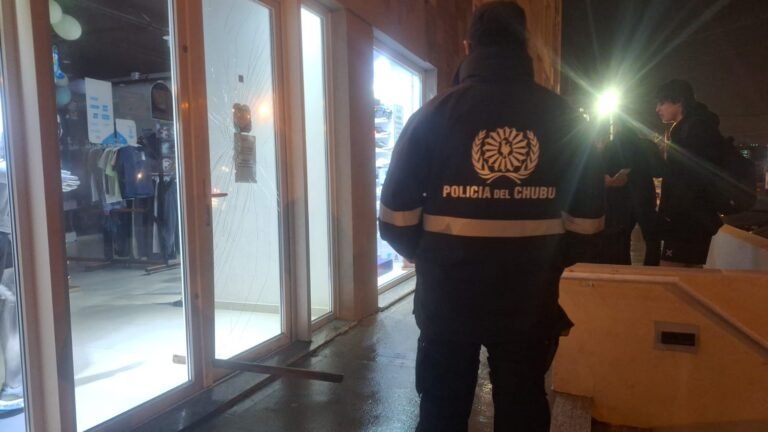 Intentó ingresar por la fuerza a un comercio y escapó tras amenazar a un testigo