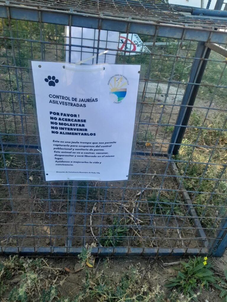 Refuerzan el control de sobrepoblación felina y canina con nuevas jaulas trampa