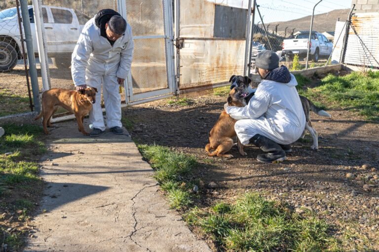 Salud Animal recibió un vehículo para intervenir en situaciones de maltrato