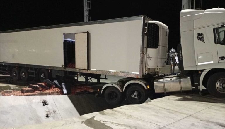 Insólito: un camión quedó colgado en el muelle durante la descarga de langostinos