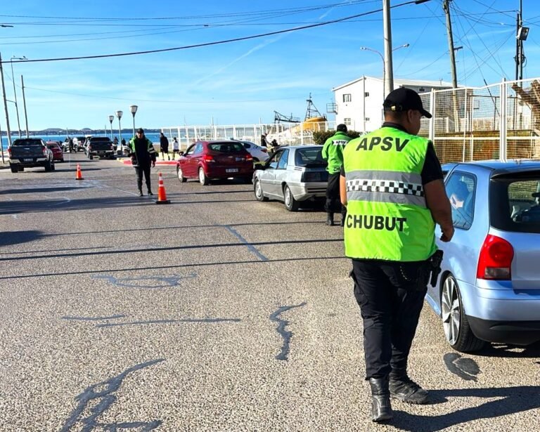 Más de 8.100 vehículos controlados: Seguridad Vial retiró a 45 conductores de las rutas